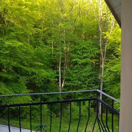 Dworek Lesny 쿠도바-즈루이