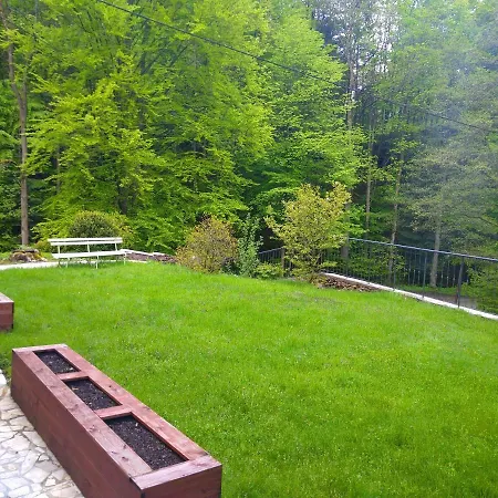 Bed & Breakfast Dworek Lesny *