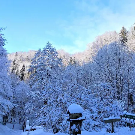 Dworek Lesny 쿠도바-즈루이