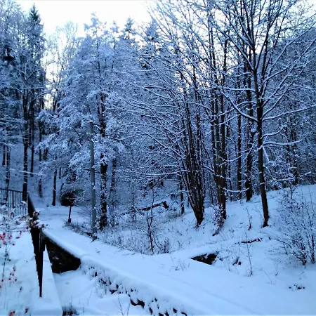 Bed & Breakfast Dworek Lesny *