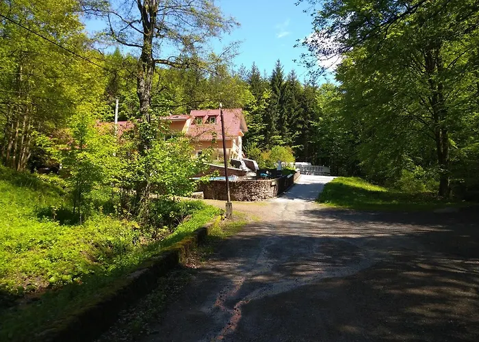Dworek Lesny Bed & Breakfast *