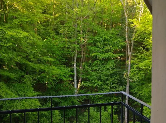 Dworek Lesny Kudowa-Zdrój