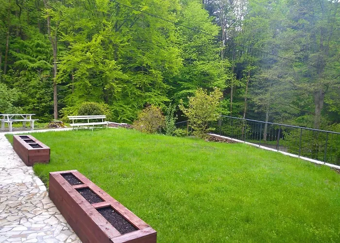 Bed & Breakfast Dworek Lesny *