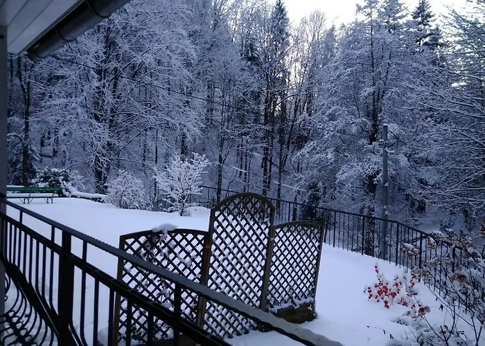 Dworek Lesny Bed & Breakfast Kudowa-Zdrój