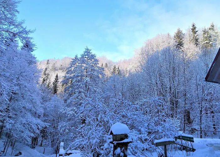 Dworek Lesny Kudowa-Zdrój