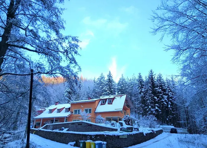 Dworek Lesny * Kudowa-Zdrój